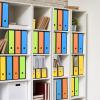 Simple Houseware 12-Pack Magazine File Holder Box, Foldable Cardboard Organizer with Label Slot, Multicolor(Color)