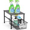 Simple Houseware Chrome Metal Stackable Storage Rack, 16.75 in L x 10.8 in W x 10.25 in H(Black)