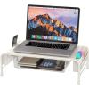 Simple Houseware Metal Desk Monitor Stand Riser with Organizer Drawer, Black(White)