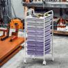 Simple Houseware Utility Cart with 10 Drawers Rolling Storage Art Craft Organizer, Chrome(Purple)